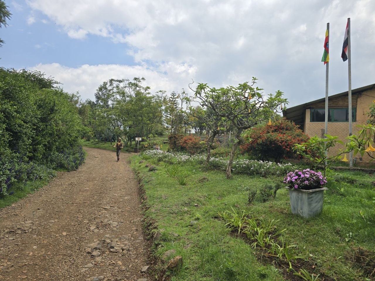 A flowering path leading through the Gallica farm gardens