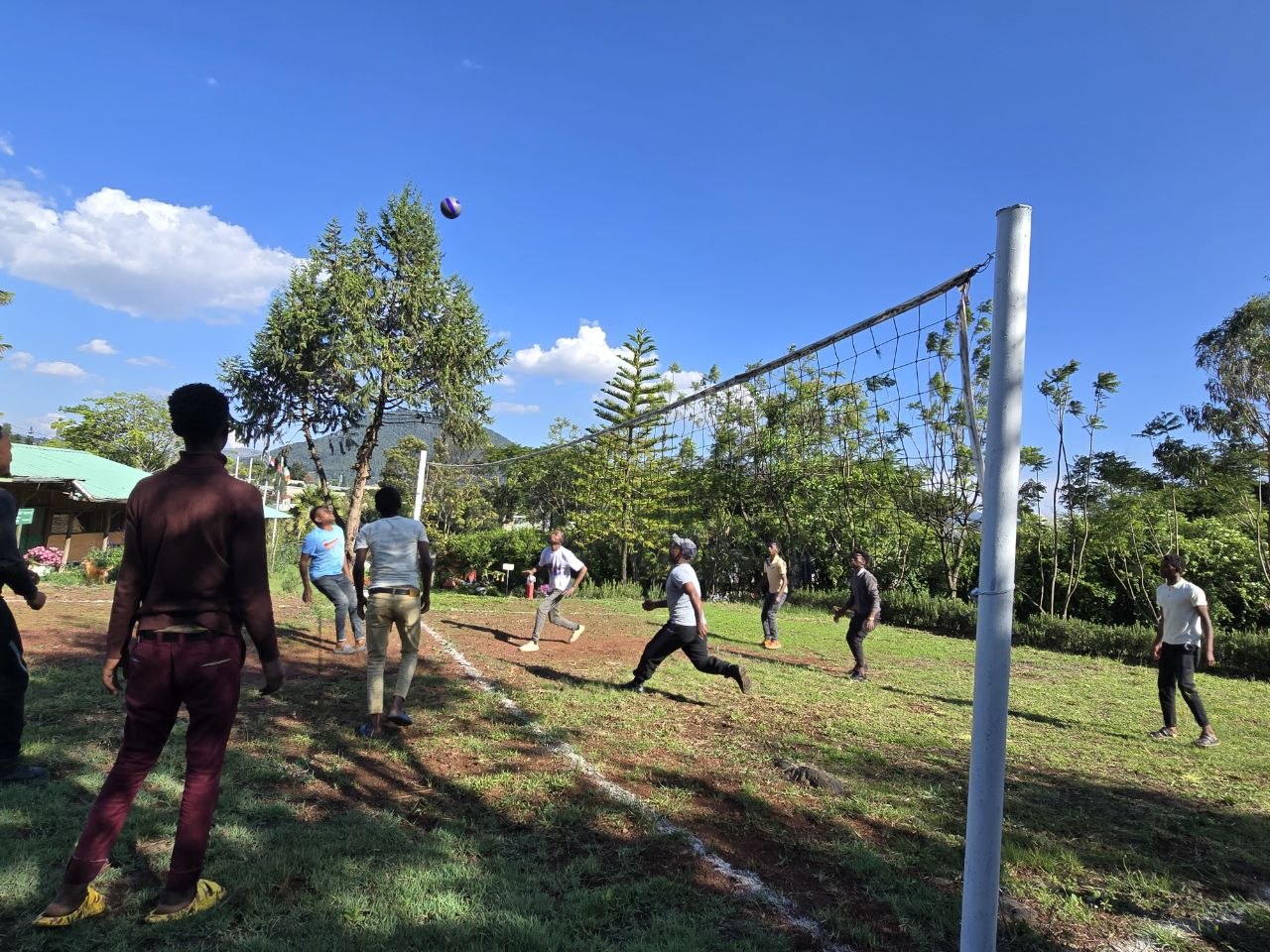 Gallica team playing volleyball after work